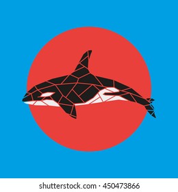 Geometry grampus whale vector illustration on red and blue background.