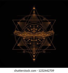 Geometry mandala with stylized lotus flower and drawing dragonfly.