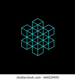 geometry minimal logo concept, vector logo template