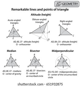 Geometry Remarkable Lines Points Triangle On Stock Vector (Royalty Free ...