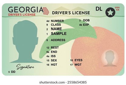 Georgia driver's license. Person driver license. Man picture silhouette driver's license isolated on white background