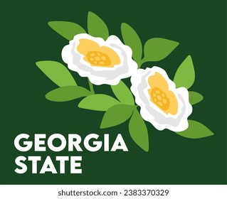 georgia state united states of america