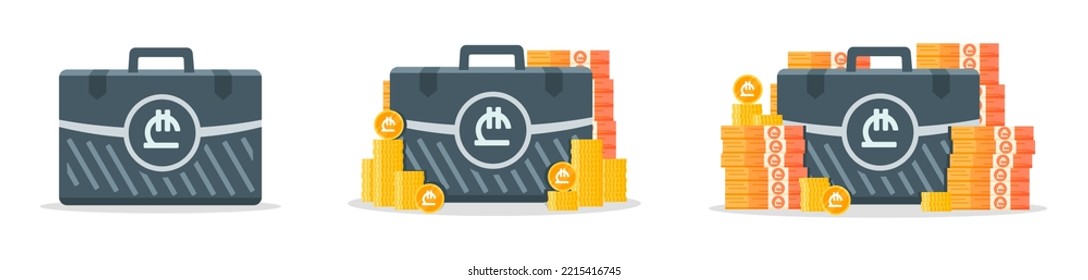 Georgian Lari Money Case Icons