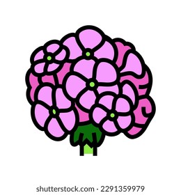 geranium blossom spring color icon vector. geranium blossom spring sign. isolated symbol illustration