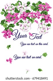 Geranium card design. Blue text on flower ivy background is vector.