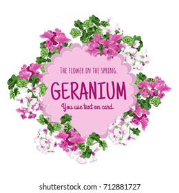 Geranium card design. The flower in the spring. White and pink flower with text in circle is vector for card.