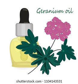 Geranium essential oil vector illustration Aromatherapy Health care