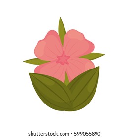 geranium flower bud with leaves vector illustration eps 10