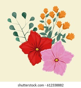 geranium flower decorative image