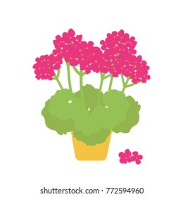 Geranium flower. A digitally hand drawn illustration. Vector flat design