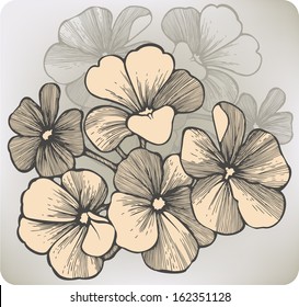 Geranium flower, hand-drawing. Vector illustration.