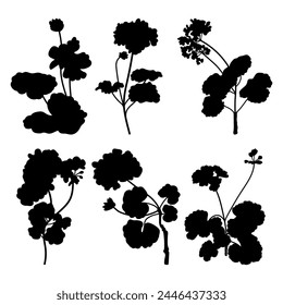 Geranium flower plant silhouette stencil templates