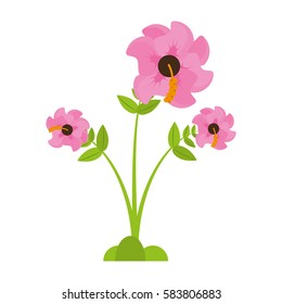 geranium flower season spring vector illustration eps 10