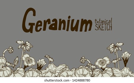 Geranium flower set vector illustration hand drawing outline hand drawing