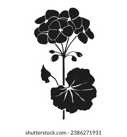 Geranium flower silhouette isolated on white background, vector floral illustration