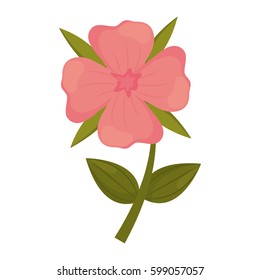 geranium flower stem leaves vector illustration eps 10