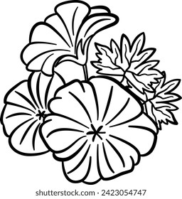 Flores de geranio para el colorante. Ilustración vectorial de hermosas flores de Pelargonio