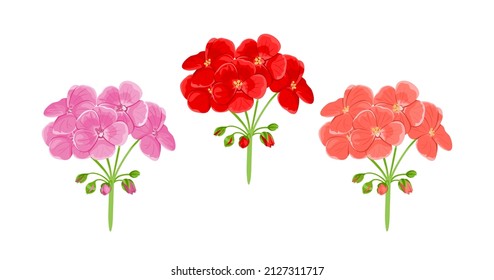 Geranium flowers isolated on white background. Flowering garden plant of red and pink color. Vector cartoon flat illustration. Floral icons.