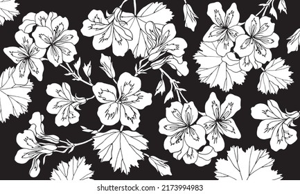 Geranium flowers and leaves pelargonium. Drawing vector. Floral background. Isolated hand drawn objects with geranium flower buds and leaf. Botanical linear style illustration on black background