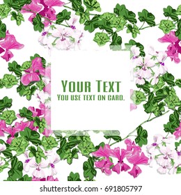 Geranium garden in the spring.The flower card design with White and pink flower is vector for card, seamless pattern and background.