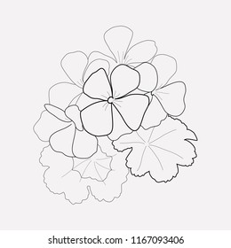 Geranium icon line element. Vector illustration of geranium icon line isolated on clean background for your web mobile app logo design.
