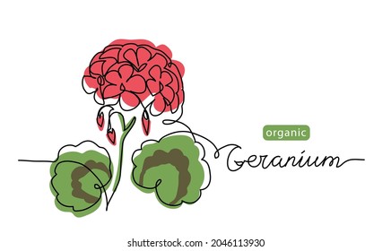 Geranium, pelargonium flower one line art drawing. Simple vector line illustration with lettering organic geranium.