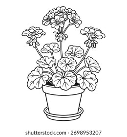 Geranium Planta Intricada Botânica - Simples e Fácil Flor Colorir Página para Kdp - Negrito Preto e Branco Contorno - Desenho de Mão Floral Colorir Página para Adultos e Crianças.