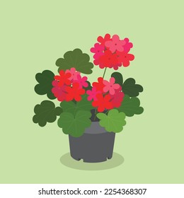 geranium in a pot vector clip art