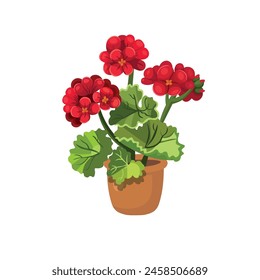 Geranium. Red flower in a pot on a white background, hand drawing vector in cartoon style.