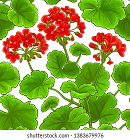 geranium vector pattern on white background