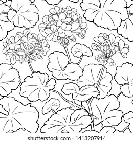 geranium vector pattern on white background