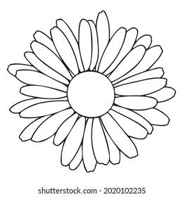 Gerber Or Daisy In The Doodle Style. Gerbera Has A Black Outline.