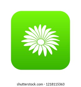 Gerber flower icon green vector isolated on white background