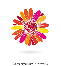 Gerber flower vector illustration