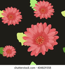 Gerber flowers seamless on a dark background. vector illustration