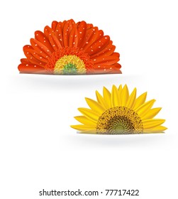 Gerber and sunflower