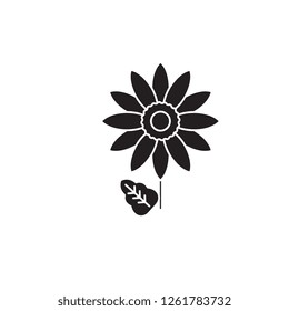 Gerbera black vector concept icon. Gerbera flat illustration, sign