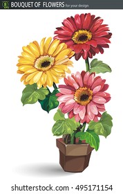 Gerbera in a brown pot isolated on white background