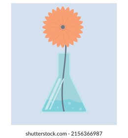 Gerbera in a chemical conical flask in vector