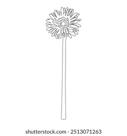 Gerbera continuous line drawing. Black and white Floral Bouquets. Flower Coloring Page. Floral Line Art. Fine Line Lilies illustration. Hand Drawn flowers. Botanical Coloring. 