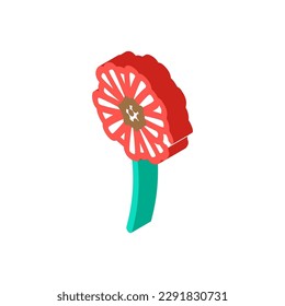 gerbera daisy blossom spring isometric icon vector. gerbera daisy blossom spring sign. isolated symbol illustration