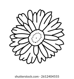 gerbera daisy blossom spring line icon vector. gerbera daisy blossom spring sign. isolated contour symbol black illustration