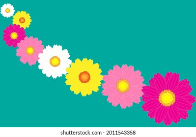Gerbera daisy flower petals on soft green background.