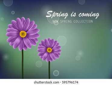 Gerbera daisy flower poster and spring is coming lettering.For web site,placard,wallpaper,flyer and backdrop.Also useful for ads,advert,marketing and advertisement