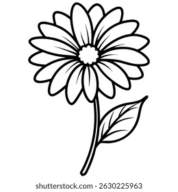Gerbera daisy flower vector with two leaves on white background