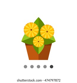 Gerbera Daisy Icon