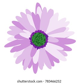 Gerbera Daisy Isolated. Vector Flower for Tablecloth, Paper, Tile. Vector illustration. Beautiful Gerbera. Floral Background. Vector Illustration. Floral. Gerbera Daisy  Isolated for the Pattern.