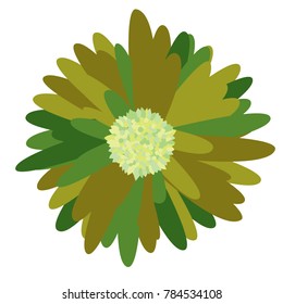 Gerbera Daisy Isolated. Vector Flower for Tablecloth, Paper, Tile. Vector illustration. Beautiful Gerbera. Floral Background. Vector Illustration. Floral. Gerbera Daisy  Isolated for the Pattern.