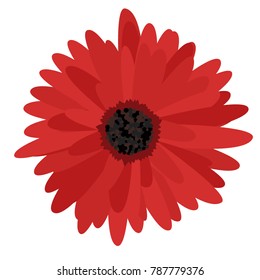 Gerbera Daisy Isolated. Vector Flower for Tablecloth, Paper, Tile. Vector illustration. Beautiful Gerbera. Floral Background. Vector Illustration. Floral. Gerbera Daisy  Isolated for the Pattern.