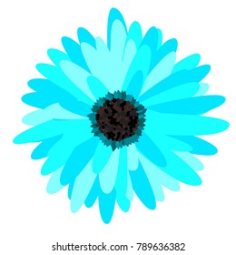 Gerbera Daisy Isolated. Vector Flower for Tablecloth, Paper, Tile. Vector illustration. Beautiful Gerbera. Floral Background. Vector Illustration. Floral. Gerbera Daisy  Isolated for the Pattern.
